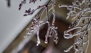 В Астане и четырех областях объявили штормовое предупреждение
