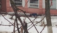 Мужчину убило упавшей с крыши глыбой льда: начато расследование