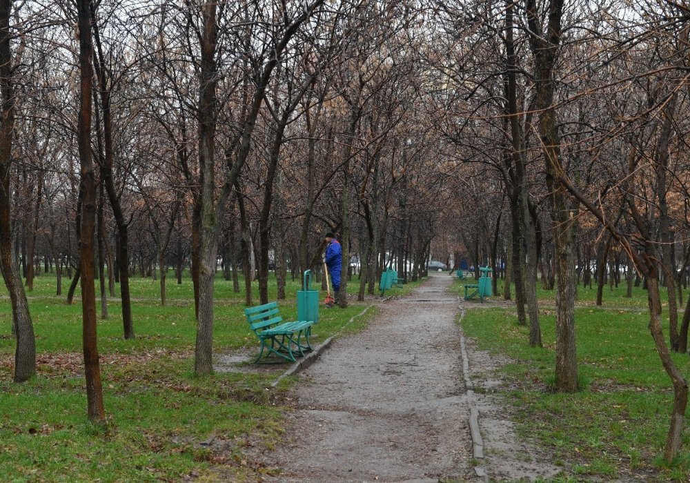 фото предоставлено пресс-службой акима Алматы