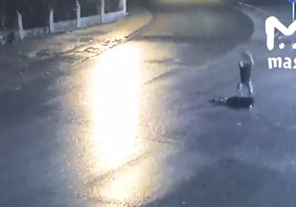 Ревнивец забил девушку камнем в Дагестане: жестокое убийство попало на видео