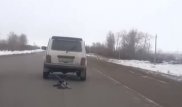 Автомобиль тащил собаку по дороге: Акмолинская полиция изучает видео