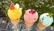 Массовое отравление мороженым в Шымкенте: более 50 человек попали в больницу