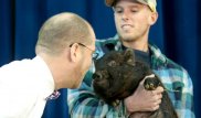 Проспорил ученикам: директору школы пришлось поцеловать свинью в США