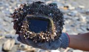 Японка потеряла в море фотоаппарат. Спустя два года его нашли в рабочем состоянии