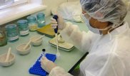 Причину отравления 250 человек на свадьбе в Кыргызстане назвал Минздрав