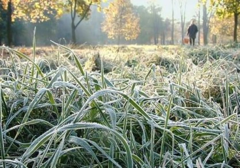 Фото с сайта orenday.ru