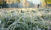 Заморозки сохранятся в четырех регионах Казахстана