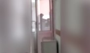 Видео избиения младенца-отказника вызвало скандал в Новосибирске