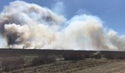 4,5 гектара природного резервата сгорело в Атырау