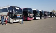 Между Алматы и Ташкентом запущен прямой автобусный рейс