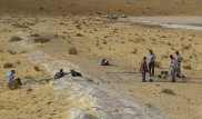 Находка в пустыне способна переписать историю человечества