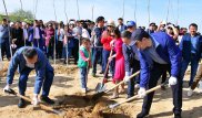 В Шымкенте посадили 80 тысяч фруктовых деревьев