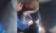 Рыбак сделал кесарево сечение мертвой акуле и спас почти 80 детенышей