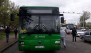 Автобус сбил насмерть девушку в Алматы