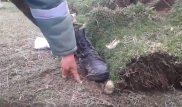Оползень близ Кольсая: в Сети появилось видео