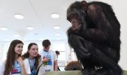 Российские ученые "оживили" древних людей, вымерших 300 тысяч лет назад