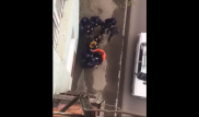 Драку хулиганов с солдатами Нацгвардии сняли на видео в Усть-Каменогорске