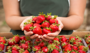 В США официально назвали 12 продуктов, вызывающих рак, бесплодие и ожирение