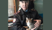 Полицейские спасли кота и нашли ему работу в Павлодаре