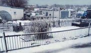 Майский снег взбудоражил жителей двух областей Казахстана