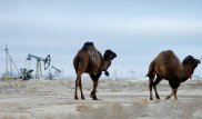 "КазМунайГаз" заботится о восполнении природных ресурсов