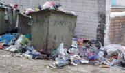 Объявлен розыск матери, выбросившей младенца в мусорный бак в Костанае