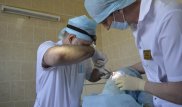 У девушки вырос зуб в носу
