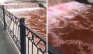 Красная речка в Алматы: озвучены результаты проверки