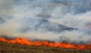 В каких природных ЧС чаще всего погибают казахстанцы