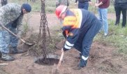 "Тайсона" вытащили из трехметрового колодца в Караганде
