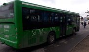 Водителю автобуса, насмерть сбившему девушку в Алматы, запросили 2,5 года лишения свободы