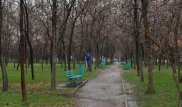 Байбек потребовал провести слушания по "Южному" парку
