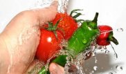 В Казахстане стартует программа профилактики острых кишечных инфекций