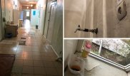 Состояние инфекционной больницы ужаснуло жителей Каскелена