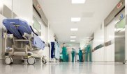 О первопричине смертоносного менингококка рассказали специалисты