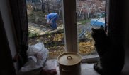 Мужчина нашел останки бывшего мужа своей жены, копая картошку в огороде
