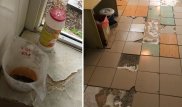 Каскеленскую больницу должны были закрыть на ремонт в 2017 году - Бекшин 