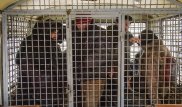 Полиция обещала не вывозить бомжей на 20-летие Астаны