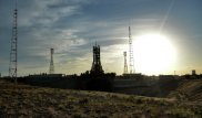 На Байконуре гибнет дерево, посаженное Юрием Гагариным