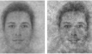 Ученые составили "фоторобот" бога