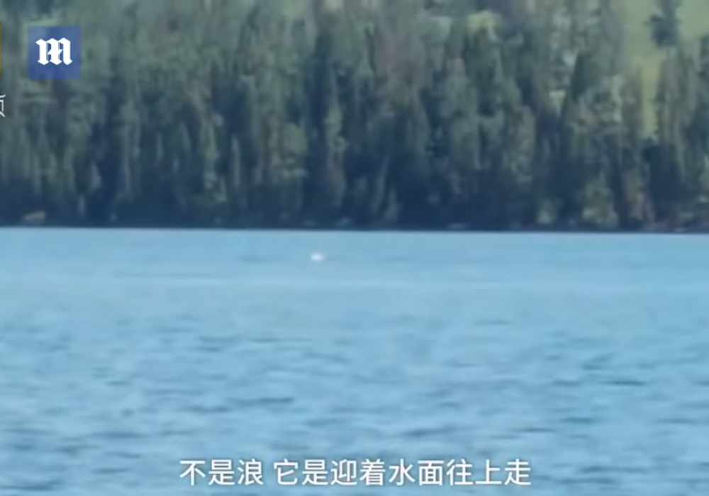 Загадочное существо в озере в Китае попало на видео