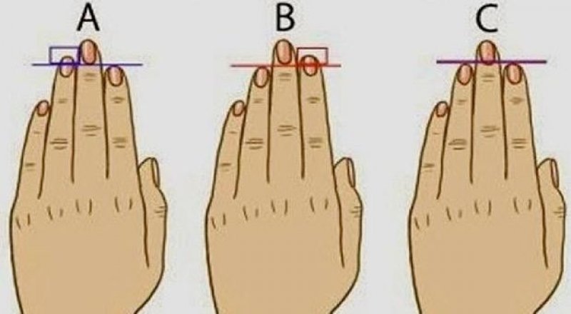 Ученые выяснили, что означает короткий указательный палец у детей
