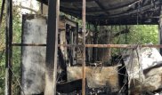 Кыргызстанку заживо сожгли в России