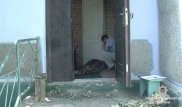Двое подростков убили знакомого, чтобы посмотреть на его внутренности