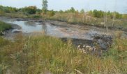 Еще несколько смертельных ловушек обнаружили в ВКО
