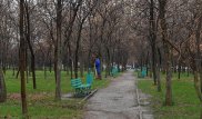 Застройщики "Южного" парка в Алматы вернут землю государству