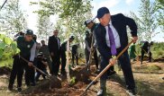 Назарбаев совершил облет "зеленого пояса" Астаны