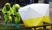 Скотланд-Ярд заявил об очередном использовании "Новичка" в Солсбери
