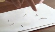 Полиция выяснила, откуда в теле 9-месячного младенца взялись 10 игл