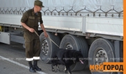 Авто по чужим документам. Казахстанца задержали на границе